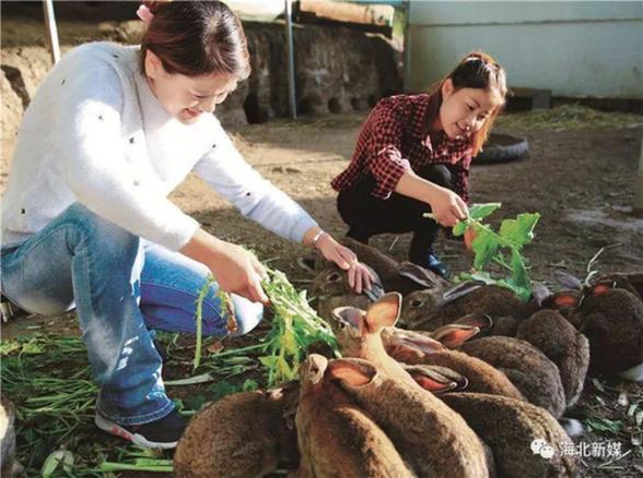 第二届海北最美乡村(三) | 群山环抱的秀美山村
