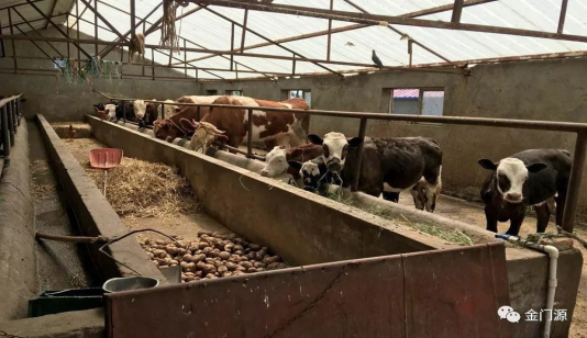 门源:西滩乡四大举措夯实乡村振兴基础