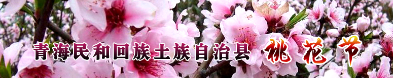 青海民和回族土族自治县桃花节