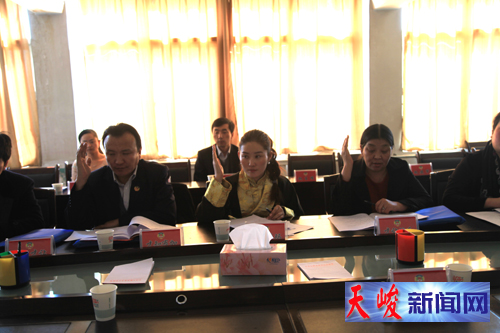 天峻县政协十届五次会议分组讨论 认真审议政府工作报告和选举办法（草案）