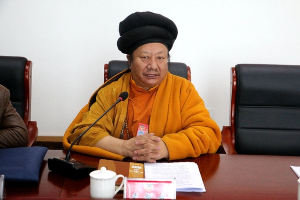 天峻县政协十一届二次会议第二讨论组 认真审