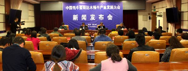 中国牦牛暨柴达木福牛产业发展大会举行大会成