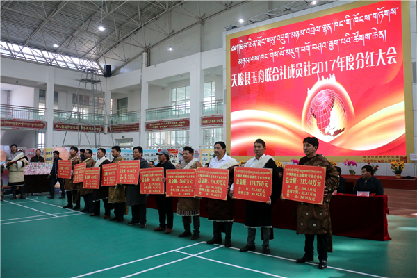 天峻县玉舟专业合作联合社分红啦