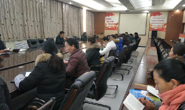 新源镇组织干部职工认真学习贯彻《中国共产党