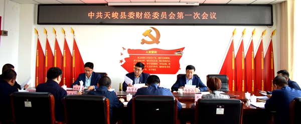 县委书记马学太主持召开中共天峻县委财经委员会第一次会议
