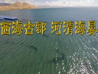 西海古郡+河清海晏