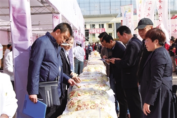 海东举全市之力拉动经济增长