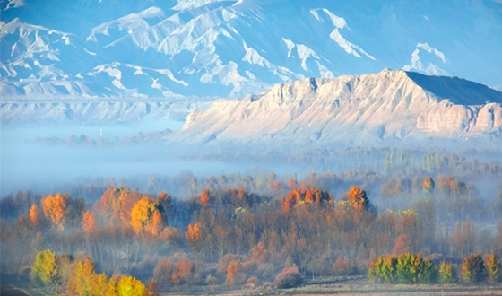 聚焦2018青海两会访谈--安木拉