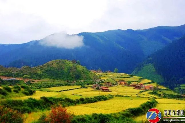 班玛县“七个狠抓”着力打造青南牧区生态文明高地