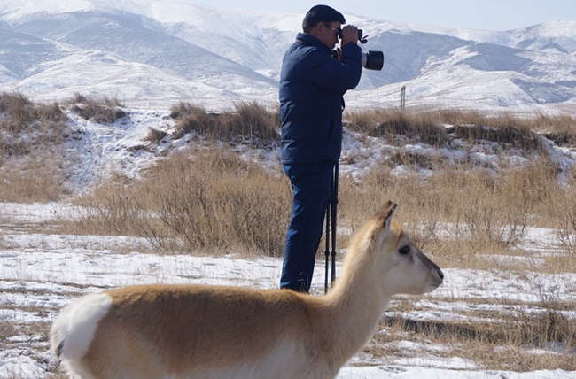 “1个”和“66个”:青海湖畔特别的“团圆”