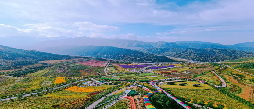 看得见山，望得见水，记得住乡愁——边麻沟花海是追寻乡村记忆的宝藏之地