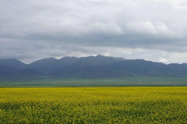 夏日田园牧歌