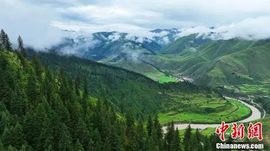 航拍雨后青海玛可河国家森林公园风景如画