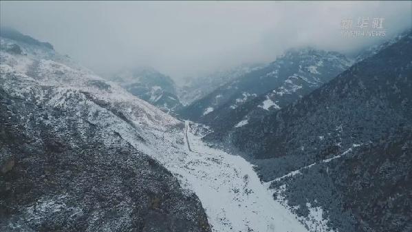 青海互助：雪后高原林场