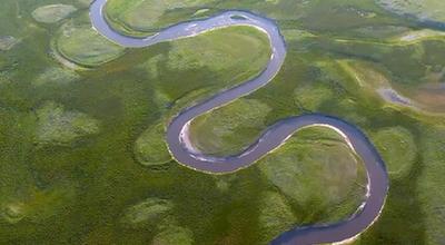 青海黄南：生物多样性成效显现