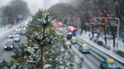 春雪落西宁