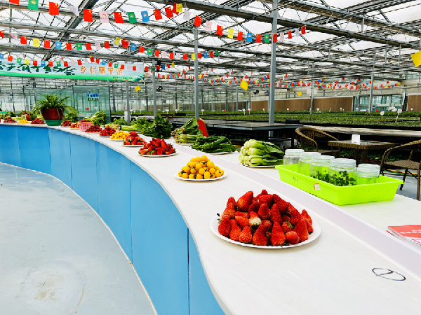 青海西宁：&ldquo;我和春天有个约会&rdquo;乡村研学游活动拉开帷幕