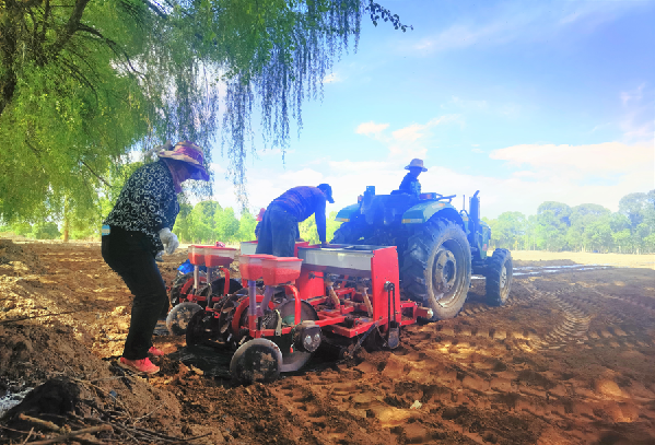 海南贵德：三村&ldquo;抱团&rdquo;绘出乡村振兴美丽画卷