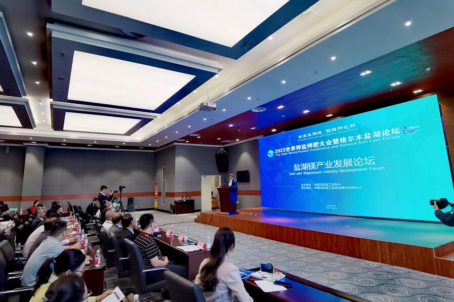 业界人士“中国盐湖城”评“镁”：优势将更突出，消费处成长期