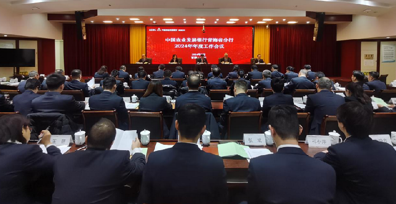 农发行青海省分行：扎实做好“五篇大文章” 书写金融服务高质量发展新答卷