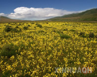 秋日里的金银滩