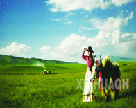 在那遥远的地方