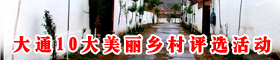 大通10大美丽乡村评选活动