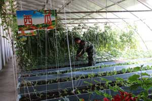 中国盐湖城 魅力格尔木