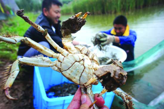 青海省海东市乐都区