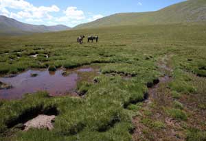上海闹市裸拍门疑似当事人发道歉声明 称赌