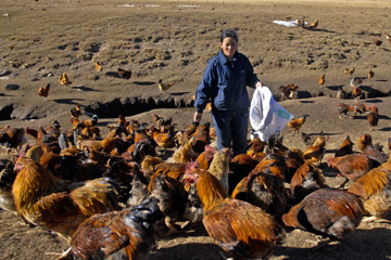 青海海北新闻网