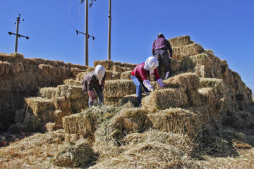 青海海北新闻网