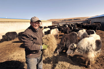 青海海北新闻网