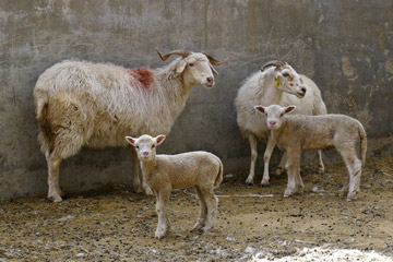 青海海北新闻网