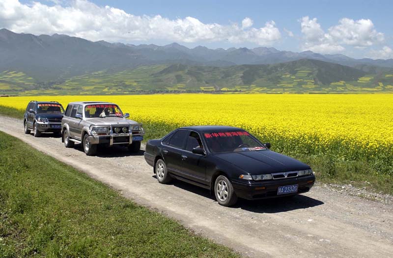 新华网青海频道网上直播